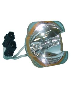 OB0092_1.jpg