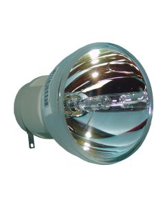 OB0201_1.jpg