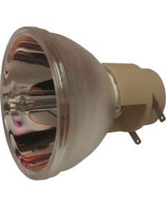 OB0450.jpg