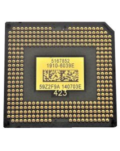 PP-DMD-008.jpg