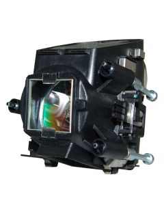 QL0153_4.jpg