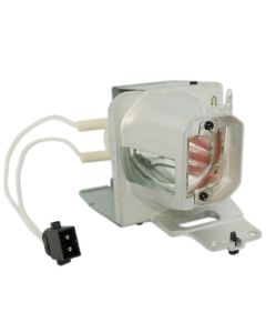 QL1067_1.jpg