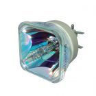 Γνήσια Philips (UHP) Σκέτη λάμπα (χωρίς κέλυφος στέγασης) (#OB0428)